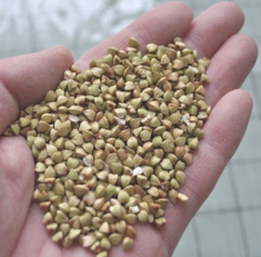 こだわりの蕎麦粉