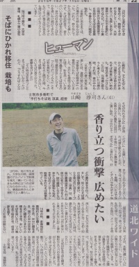 北海道新聞