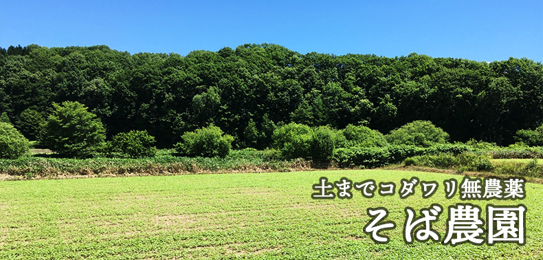 無農薬そば農園